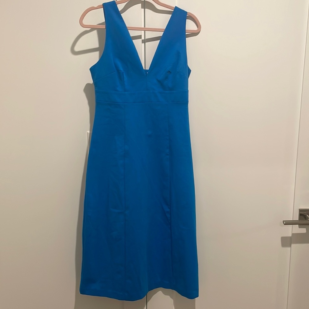 Blue Dress